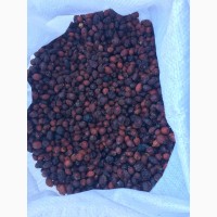 Продам сухие плоды шиповника темно-красного цвета ( ЕКСПОРТНОЙ ), Боярышник сухой 2019
