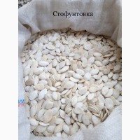 Продам семена тыквы сорт стофунтовка калибр 11
