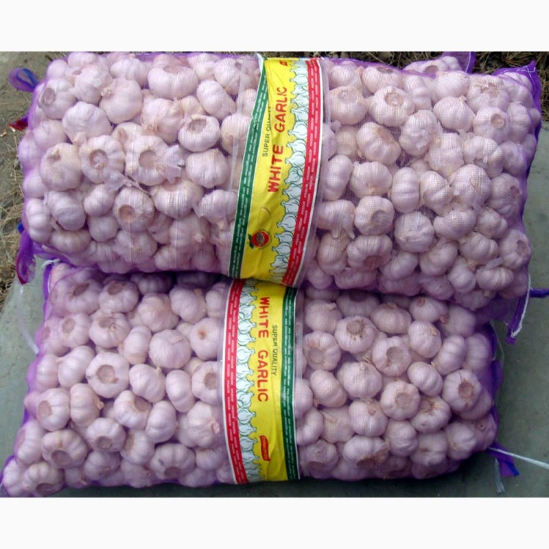 Фото 2. Wholesale fresh garlic