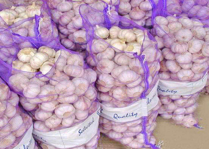 Фото 3. Wholesale fresh garlic