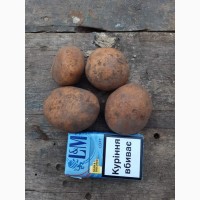 Продам посадочный картофель