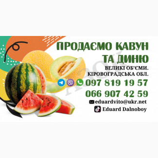 Продаємо кавун та диню