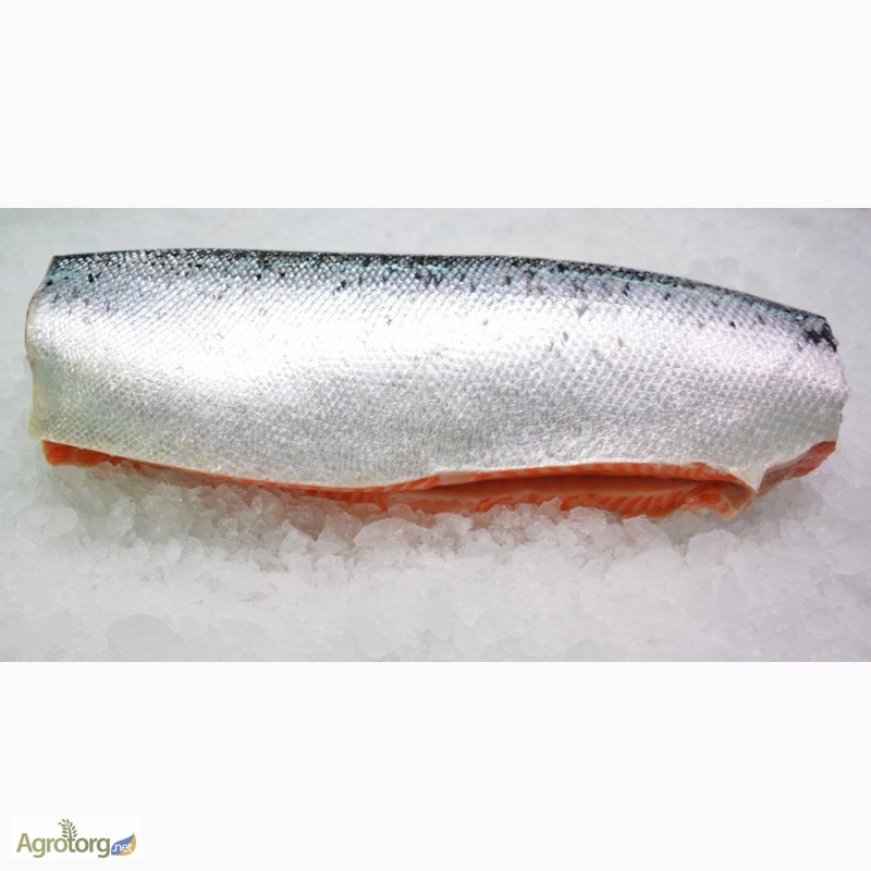 Фото 3. Красная рыба Семга 5-6 кг Охлажденная 350 грн