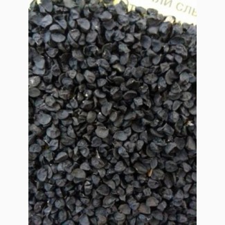 Продам семена лука: Штутгартен Ризен (чернушка)
