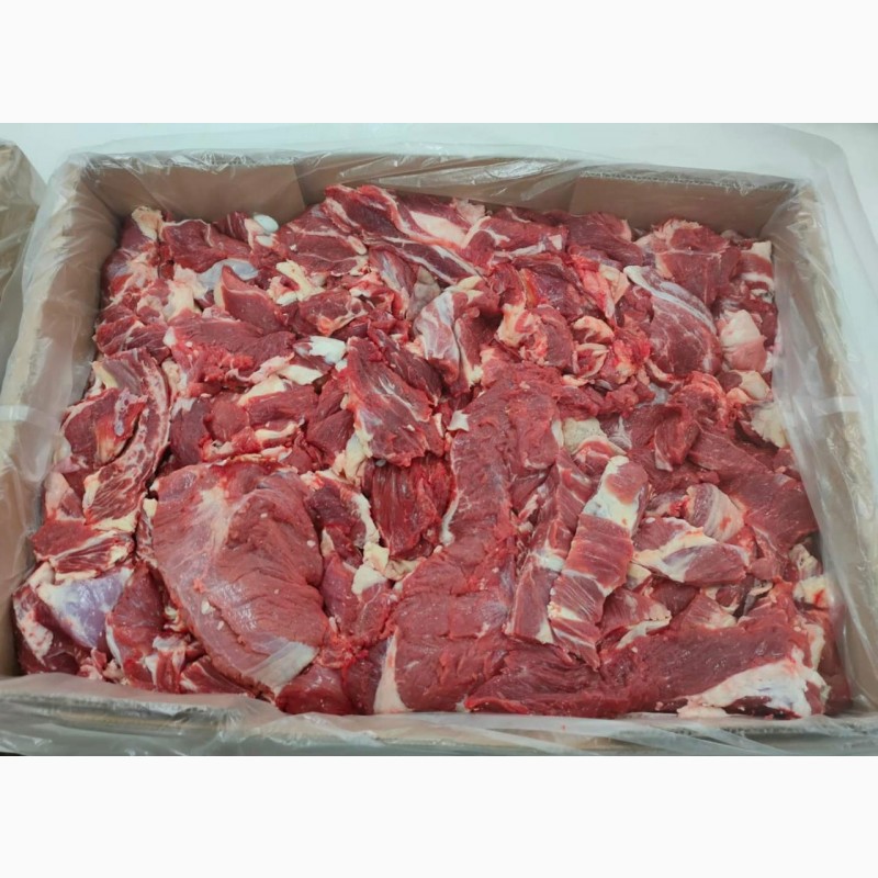 Фото 11. ПрАТ АГРО-ПРОДУКТ пропонує мясо яловиче охолоджене, а також морожене сортове мясо