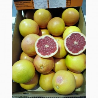 Грейпфрут - импорт от производителя ЮАР