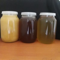 Продам мед зі своєї пасіки в наявності акацієвий, гречаний, лісовий, різнотравя