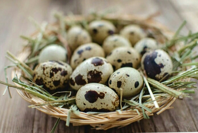 Фото 3. Продам перепелиные яйца