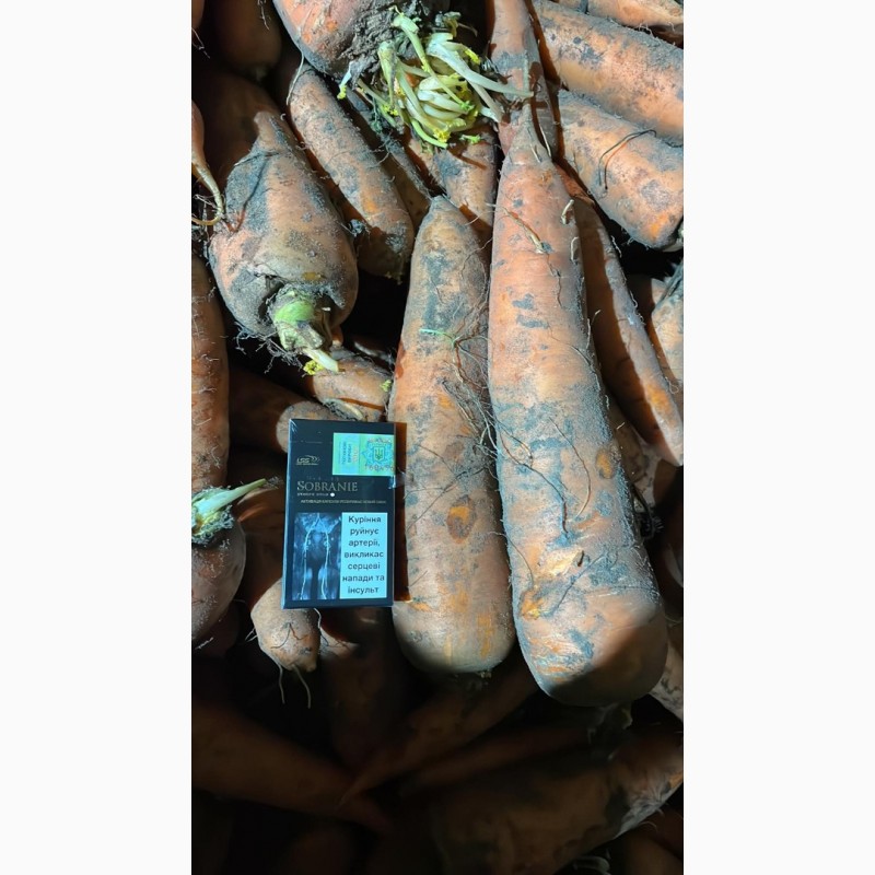 Фото 7. Продам морковь от поставщика с 10 тонн