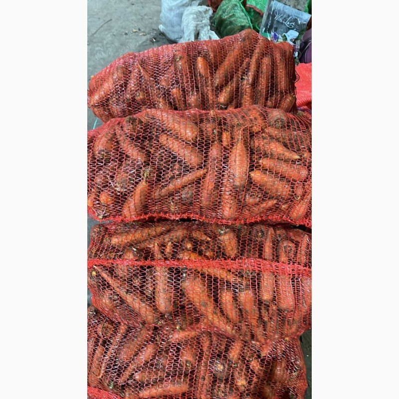 Фото 8. Продам морковь от поставщика с 10 тонн
