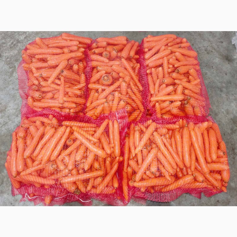 Фото 2. Продам морковь мытую от производителя