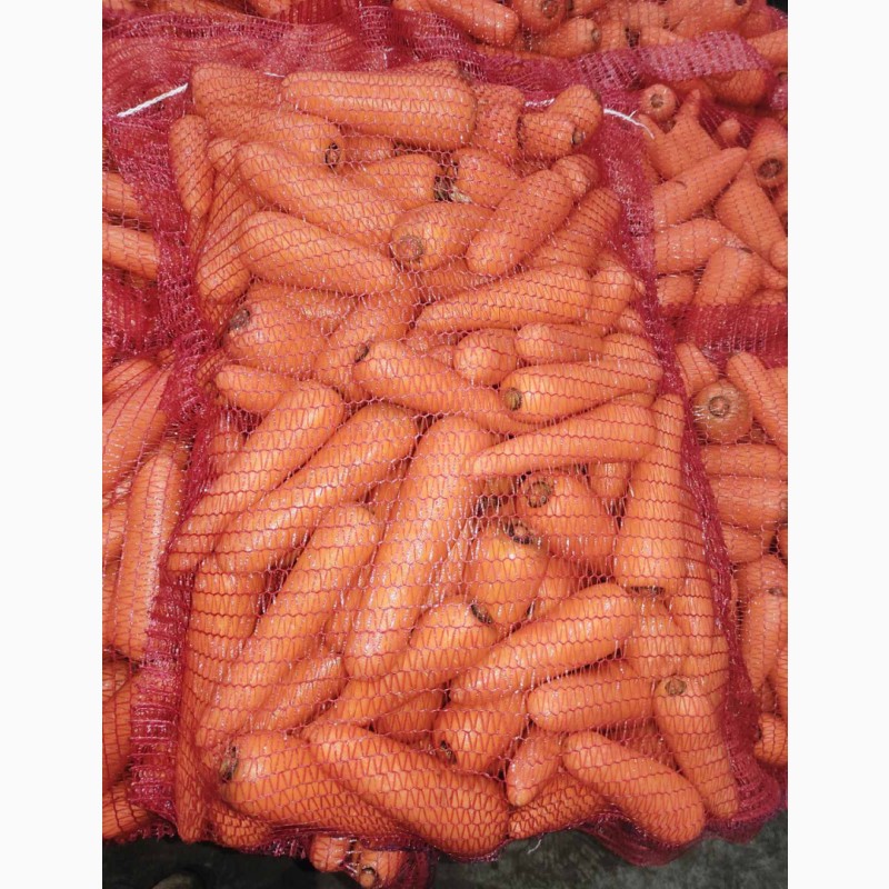 Фото 4. Продам морковь мытую от производителя