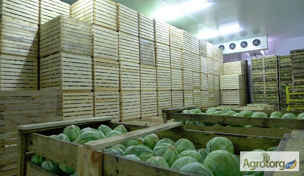 Фото 4. Овощехранилища в Крыму под Ключ. Монтаж Холодильного Оборудования