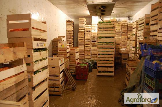 Фото 7. Овощехранилища в Крыму под Ключ. Монтаж Холодильного Оборудования