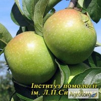 Інститут помології ім. Л.П.Симиренка НААН реалізує саджанці плодових і ягідних культур
