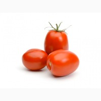 В наличии помидоры крупным оптом