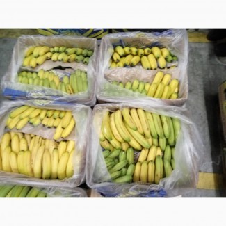 Продам плоды банана