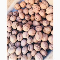 Принимаем заказы на грецкий орех целый урожая 2021 г. We accept orders for walnuts for