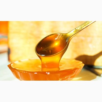 Продам мед Акации урожай 2023 c пыльцой