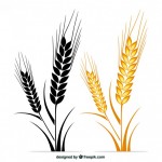 Покупаем зерно пшеницы