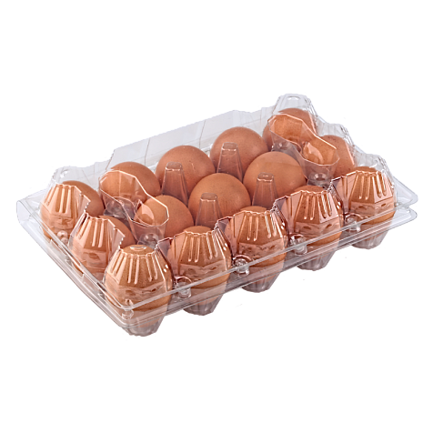 Фото 3. Гурт та роздріб! упаковка (лотки) для перепелиних яєць, курячих яєць