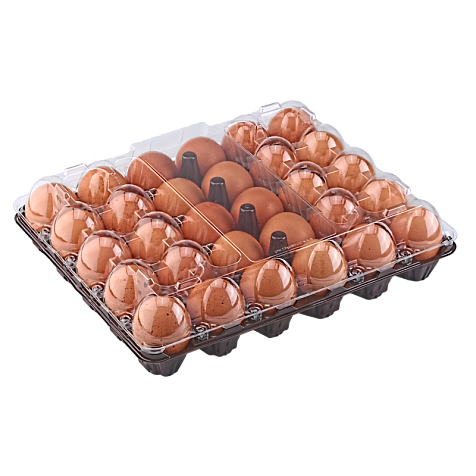 Фото 7. Гурт та роздріб! упаковка (лотки) для перепелиних яєць, курячих яєць