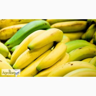 Акция на бананы до конца августа