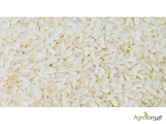 Рис: ТУ, ГОСТ, дроблёный, рис-сырец (рапан). Рисовая крупа