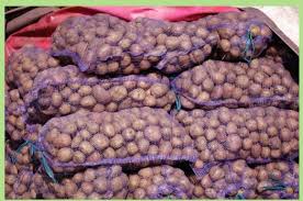 Фото 4. Продам картофель Гренада опт Продажа картофеля сорт Гренада. В наличии большие объемы