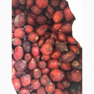 Продам шиповник (ягоды)