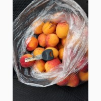 Продам абрикосы с сада сладкие