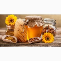Продам мед свіжий збір 2023 року