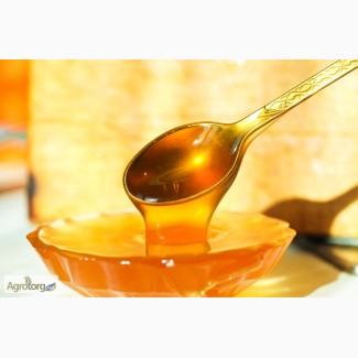 Куплю оптом мёд (подсолнух, акация, разнотравье, кориандр и т.д.)