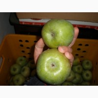 Яблука (ЕКО)