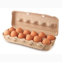 Продам куриное яйцо, цены от производителя