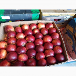 Продам яблка Голден двоїчка велика кількість е щерізні сорта великий вибір
