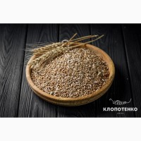Купимо Пшеницю 2.3.4 Клас, Фураж