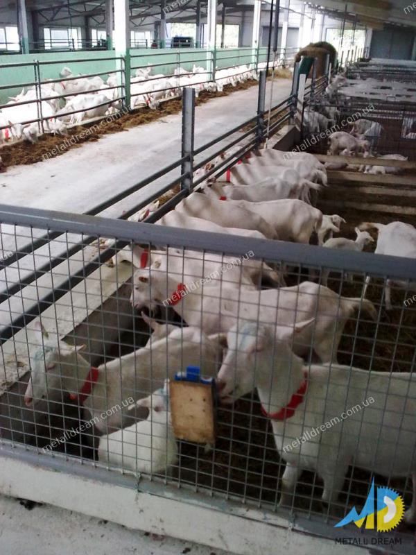 Фото 3. Стійлове обладнання для утримання кіз та овець MetallDreamUA