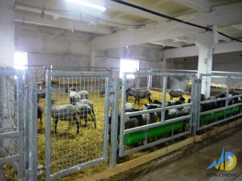 Фото 4. Стійлове обладнання для утримання кіз та овець MetallDreamUA