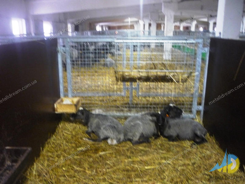Фото 5. Стійлове обладнання для утримання кіз та овець MetallDreamUA