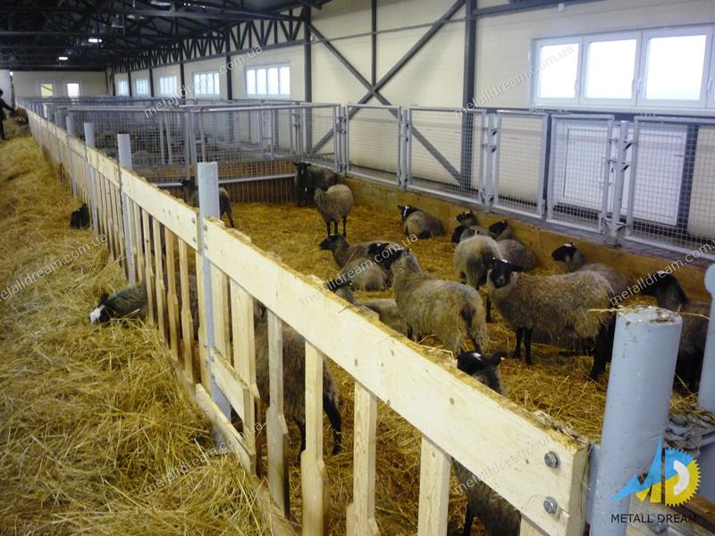 Фото 6. Стійлове обладнання для утримання кіз та овець MetallDreamUA
