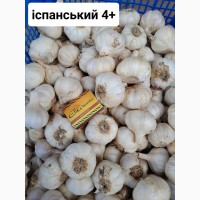 Продам часник