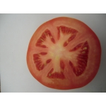 Продам томат тепличный сорт Лилос