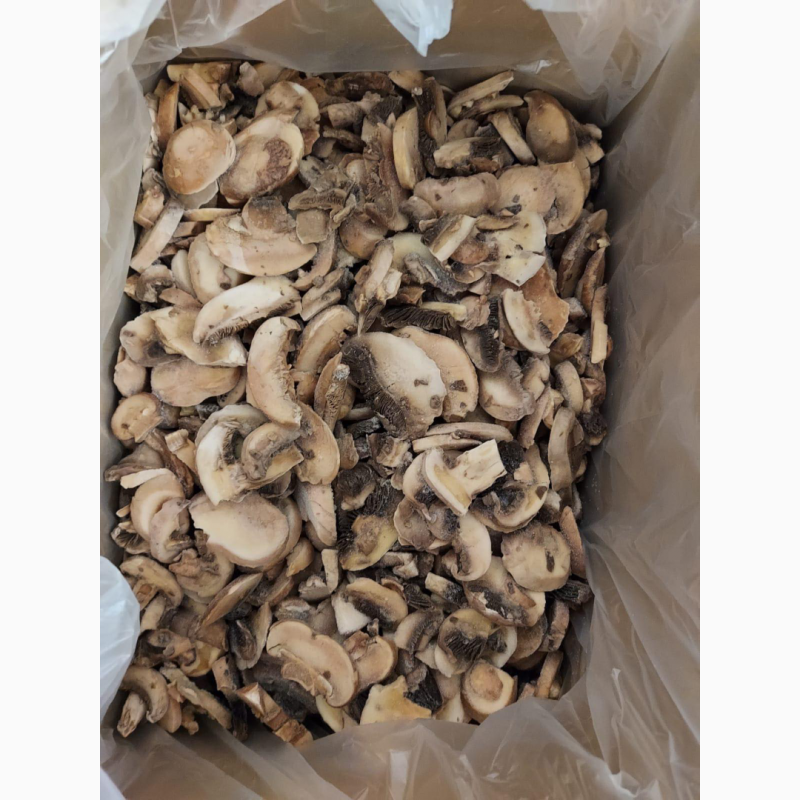 Фото 3. Купим грибы свежие, консервированные, соленные, маринованные