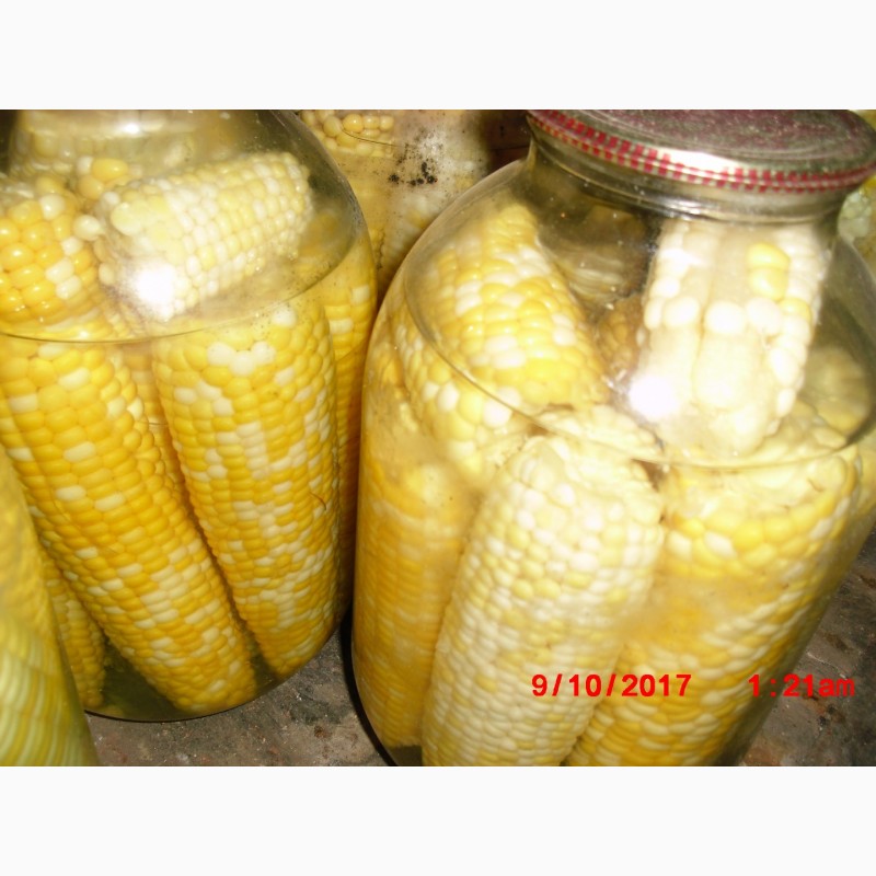 Фото 6. Продам насіння цукрової кукурудзи