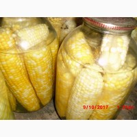 Продам насіння цукрової кукурудзи
