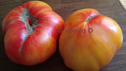Фото 9. Продам семена экзотических томатов, помидор, личная коллекция, сезон 2021-2022