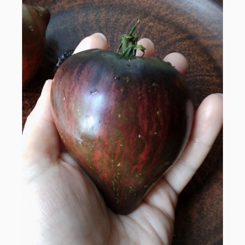 Фото 2. Продам семена экзотических томатов, помидор, личная коллекция, сезон 2021-2022
