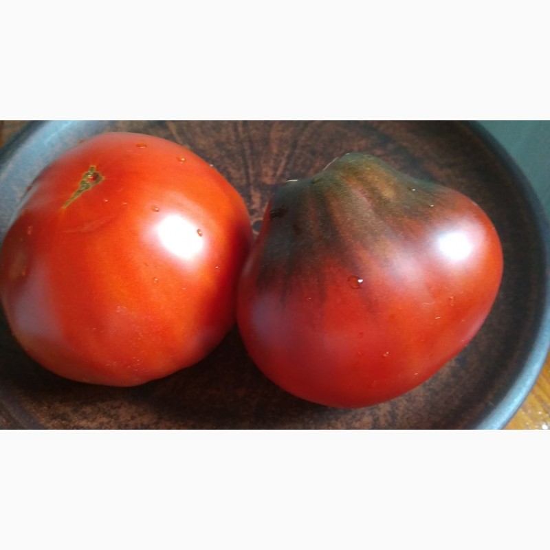 Фото 3. Продам семена экзотических томатов, помидор, личная коллекция, сезон 2021-2022