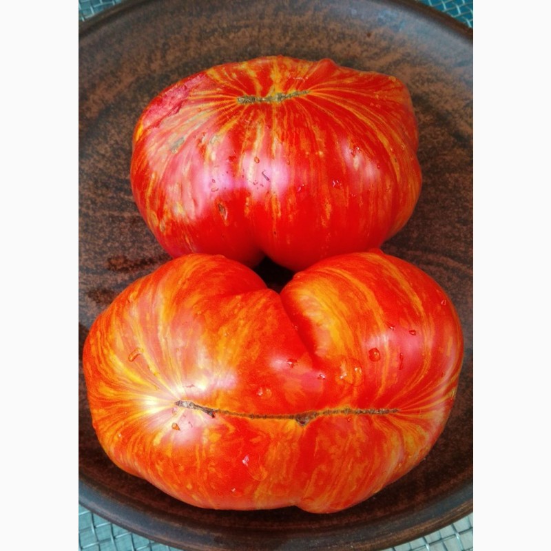 Фото 4. Продам семена экзотических томатов, помидор, личная коллекция, сезон 2021-2022